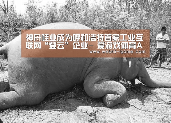 神舟硅业成为呼和浩特首家工业互联网“登云”企业- 爱游戏体育App下载(图1) 爱游戏体育