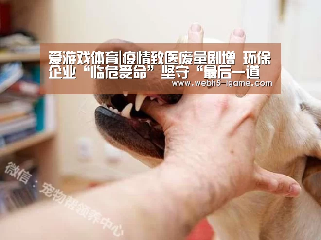 爱游戏体育|疫情致医废量剧增 环保企业“临危受命”坚守“最后一道防线”(图3) 爱游戏体育