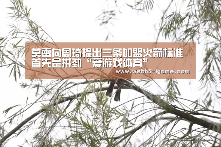  爱游戏体育App下载