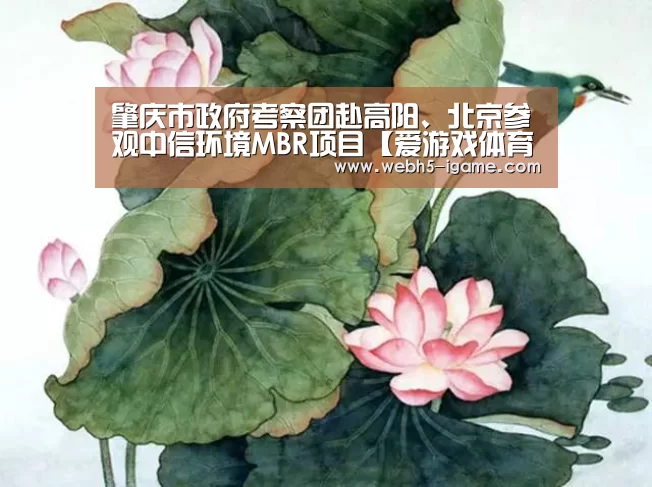 肇庆市政府考察团赴高阳、北京参观中信环境MBR项目【爱游戏体育】(图1) 爱游戏体育