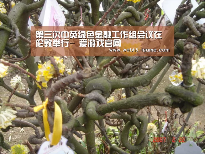 第三次中英绿色金融工作组会议在伦敦举行- 爱游戏官网(图1) 爱游戏体育App下载